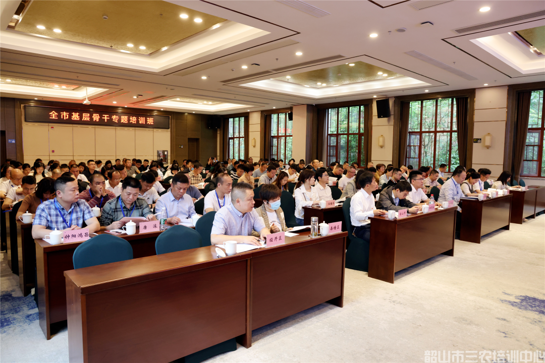 為基層干部賦能充電！全市基層骨干專題培訓班開班(圖3)