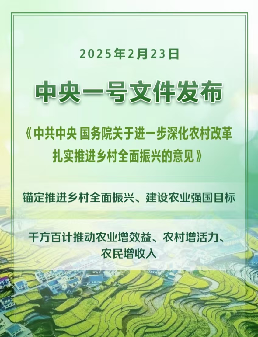 2025年中央一號文件發(fā)布提出扎實推進(jìn)鄉(xiāng)村全面振興(圖1)